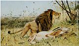 Lion and his Prey by Wilhelm Kuhnert